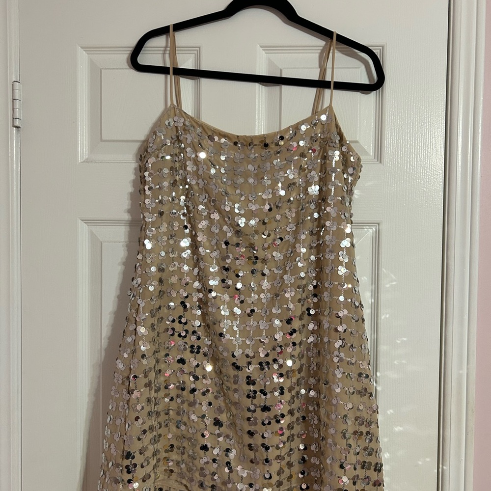 Zara Beige Elegant Sequin Dress